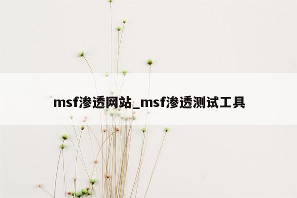 msf渗透网站_msf渗透测试工具