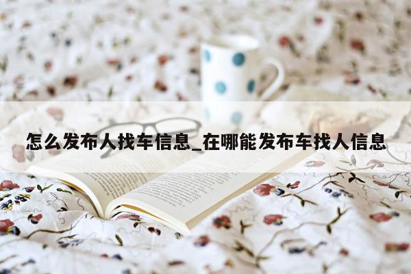 怎么发布人找车信息_在哪能发布车找人信息