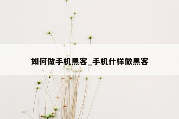 如何做手机黑客_手机什样做黑客