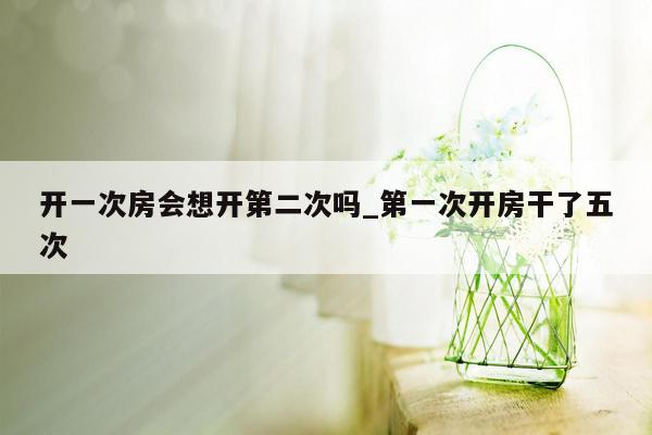 开一次房会想开第二次吗_第一次开房干了五次