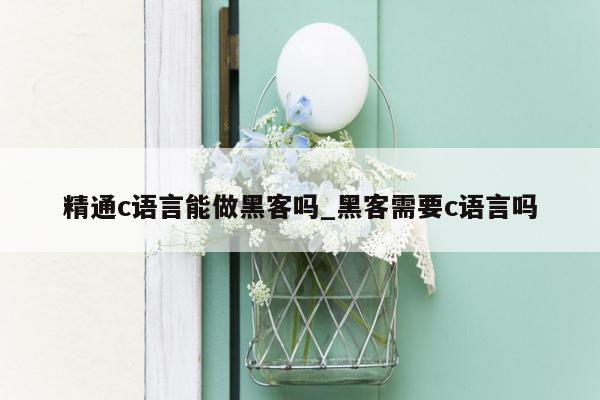 精通c语言能做黑客吗_黑客需要c语言吗