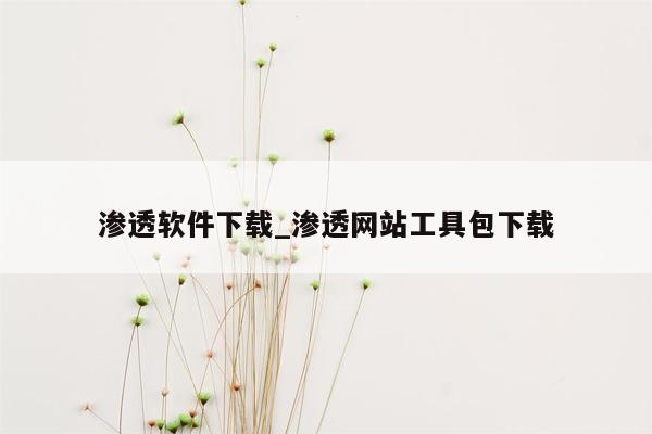 渗透软件下载_渗透网站工具包下载