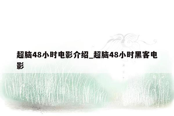 超脑48小时电影介绍_超脑48小时黑客电影