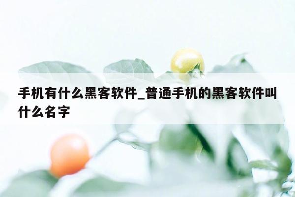 手机有什么黑客软件_普通手机的黑客软件叫什么名字