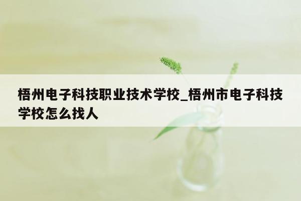 梧州电子科技职业技术学校_梧州市电子科技学校怎么找人