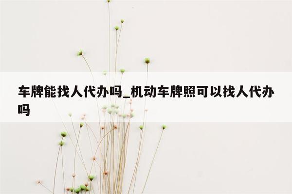 车牌能找人代办吗_机动车牌照可以找人代办吗