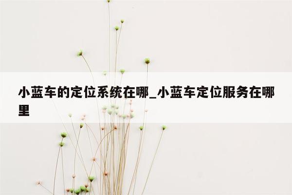 小蓝车的定位系统在哪_小蓝车定位服务在哪里