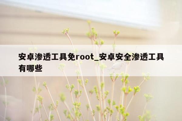 安卓渗透工具免root_安卓安全渗透工具有哪些