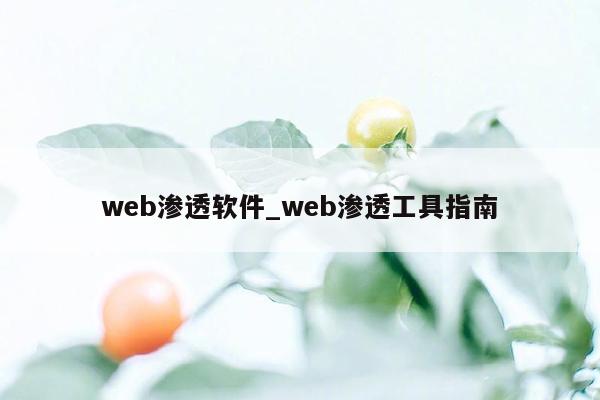 web渗透软件_web渗透工具指南