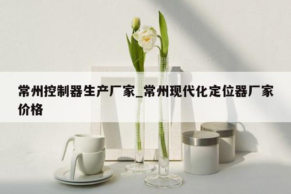 常州控制器生产厂家_常州现代化定位器厂家价格