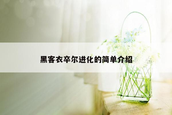 黑客衣卒尔进化的简单介绍