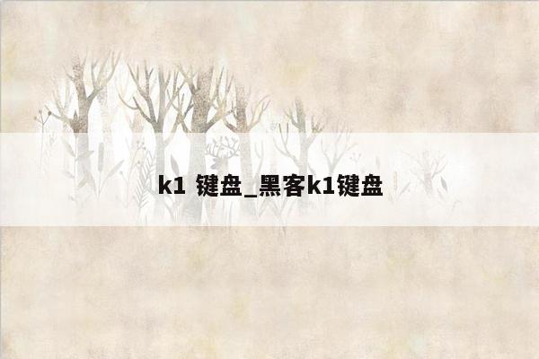 k1 键盘_黑客k1键盘