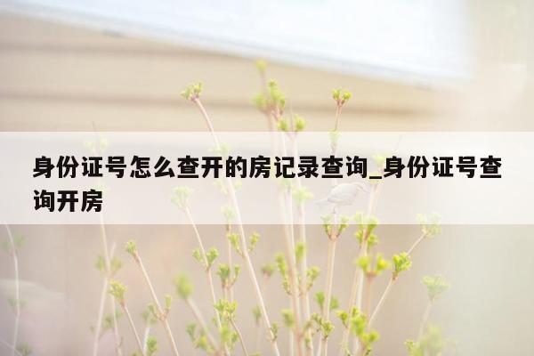 身份证号怎么查开的房记录查询_身份证号查询开房