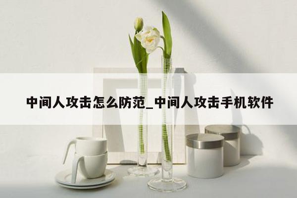 中间人攻击怎么防范_中间人攻击手机软件