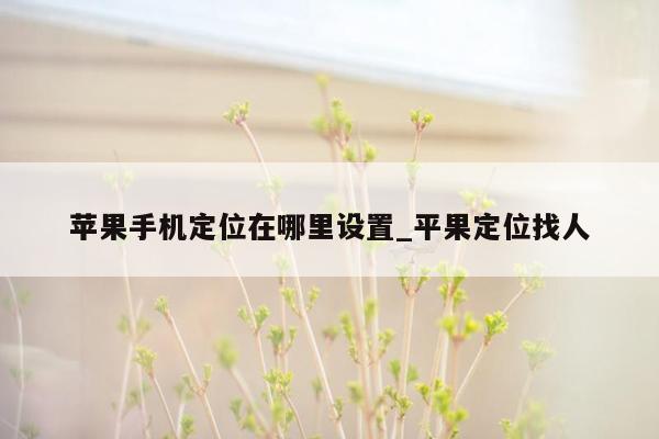 苹果手机定位在哪里设置_平果定位找人