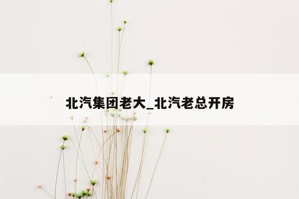 北汽集团老大_北汽老总开房