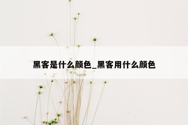 黑客是什么颜色_黑客用什么颜色