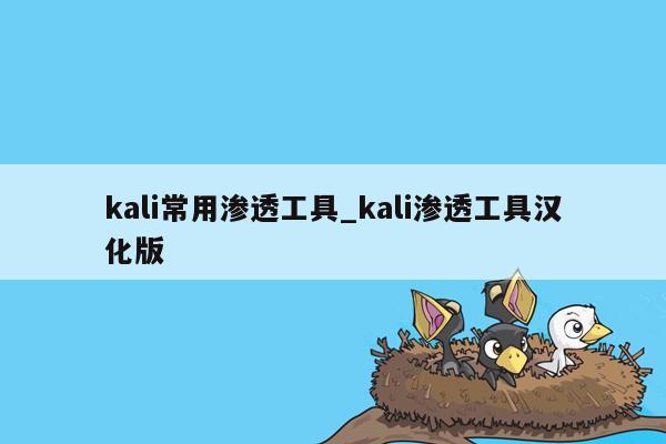 kali常用渗透工具_kali渗透工具汉化版