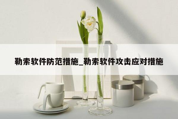 勒索软件防范措施_勒索软件攻击应对措施