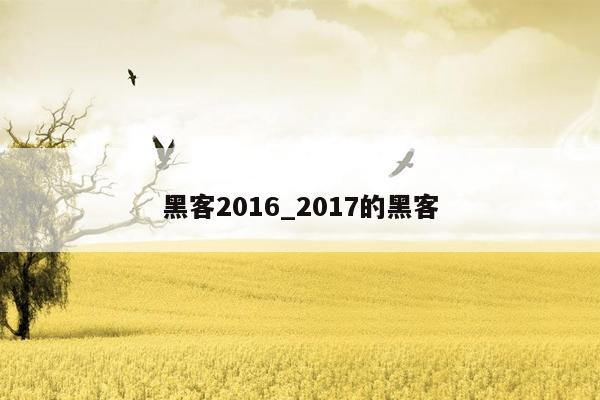 黑客2016_2017的黑客