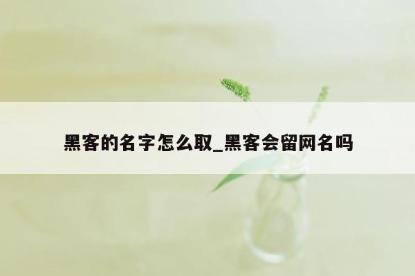 黑客的名字怎么取_黑客会留网名吗