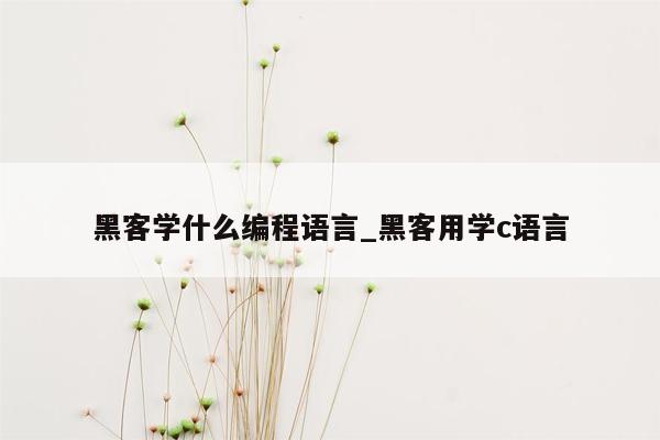 黑客学什么编程语言_黑客用学c语言