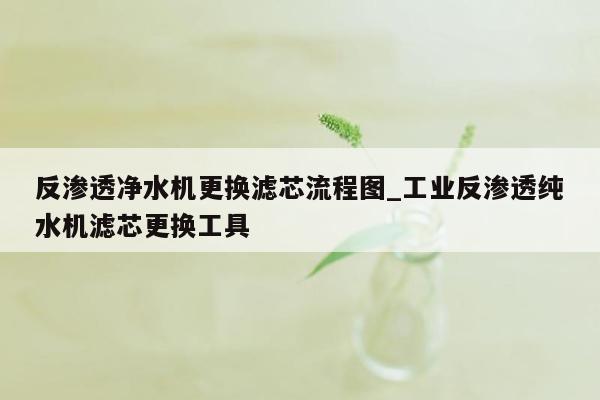 反渗透净水机更换滤芯流程图_工业反渗透纯水机滤芯更换工具