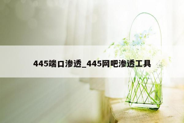 445端口渗透_445网吧渗透工具