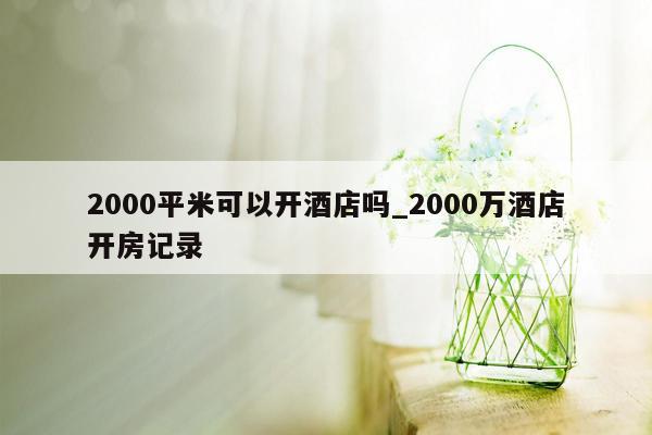 2000平米可以开酒店吗_2000万酒店开房记录