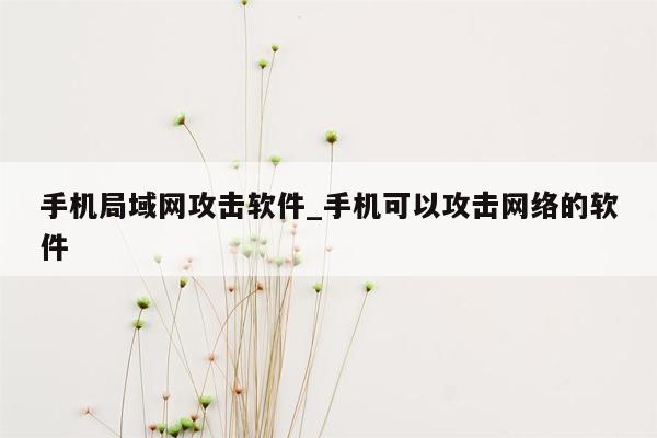 手机局域网攻击软件_手机可以攻击网络的软件