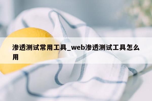 渗透测试常用工具_web渗透测试工具怎么用