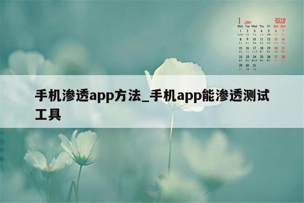 手机渗透app方法_手机app能渗透测试工具