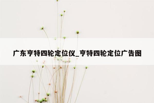 广东亨特四轮定位仪_亨特四轮定位广告图