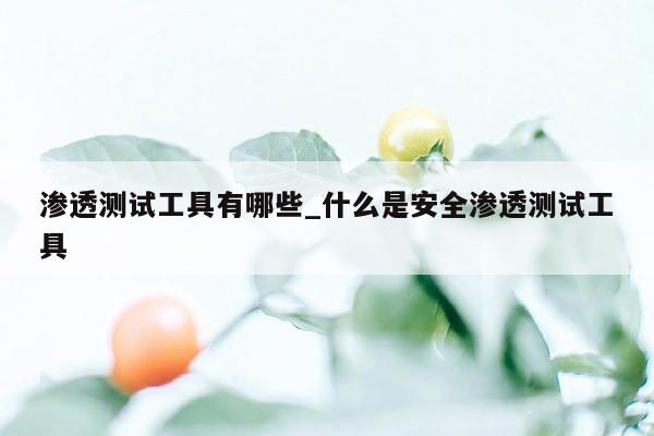 渗透测试工具有哪些_什么是安全渗透测试工具