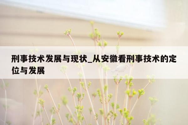 刑事技术发展与现状_从安徽看刑事技术的定位与发展