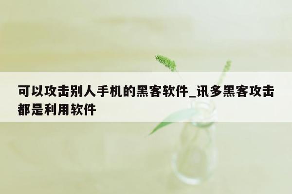 可以攻击别人手机的黑客软件_讯多黑客攻击都是利用软件