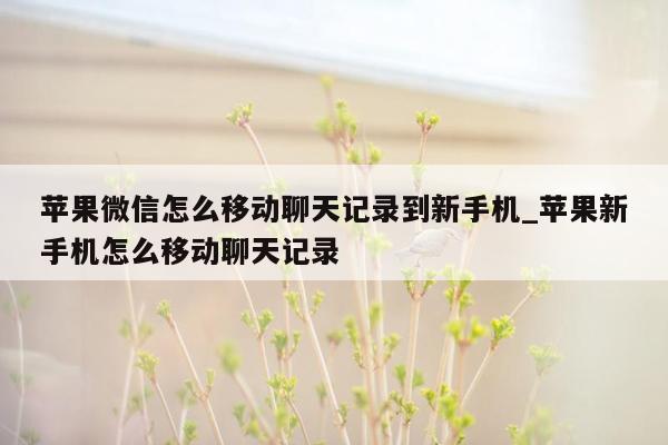 苹果微信怎么移动聊天记录到新手机_苹果新手机怎么移动聊天记录