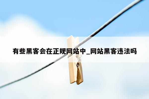 有些黑客会在正规网站中_网站黑客违法吗