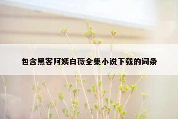 包含黑客阿姨白薇全集小说下载的词条