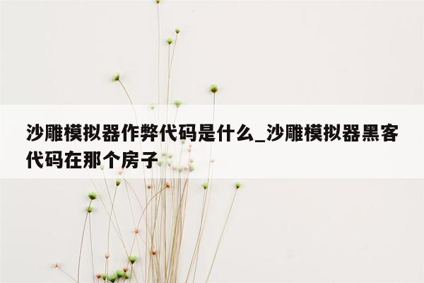 沙雕模拟器作弊代码是什么_沙雕模拟器黑客代码在那个房子