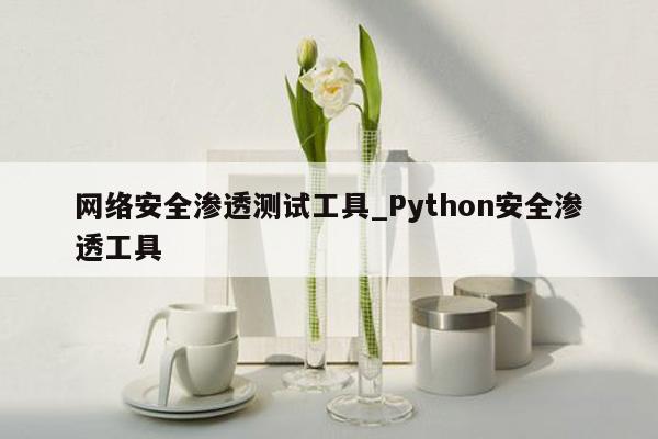 网络安全渗透测试工具_Python安全渗透工具