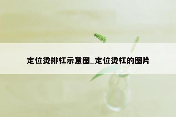 定位烫排杠示意图_定位烫杠的图片