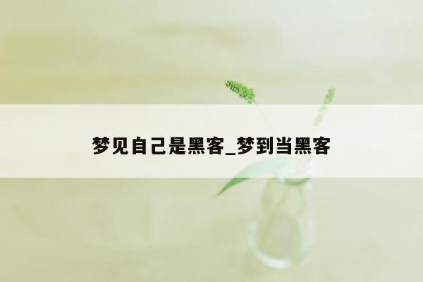 梦见自己是黑客_梦到当黑客