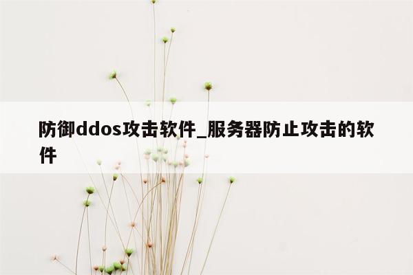 防御ddos攻击软件_服务器防止攻击的软件