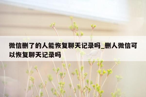 微信删了的人能恢复聊天记录吗_删人微信可以恢复聊天记录吗