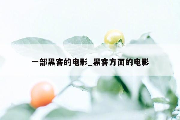 一部黑客的电影_黑客方面的电影