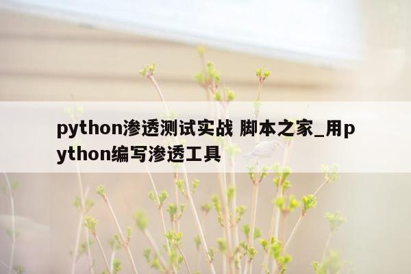 python渗透测试实战 脚本之家_用python编写渗透工具