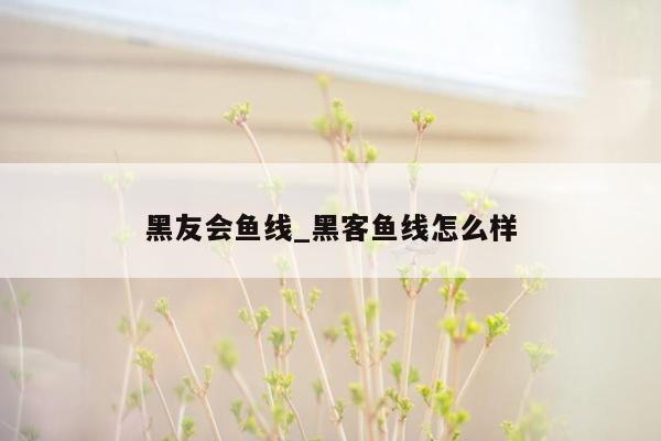 黑友会鱼线_黑客鱼线怎么样