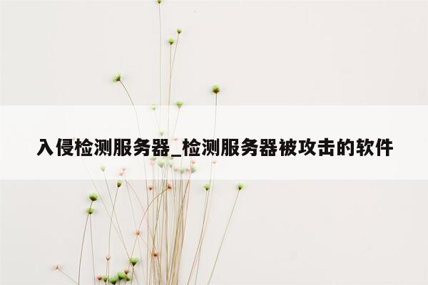 入侵检测服务器_检测服务器被攻击的软件