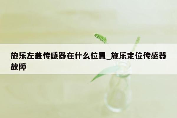 施乐左盖传感器在什么位置_施乐定位传感器故障